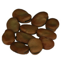 TIGERNUTS TRADERS � Partikel: Bohnen