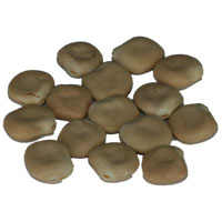 TIGERNUTS TRADERS � Partikel: Lupine