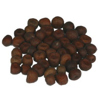 TIGERNUTS TRADERS � Partikel: Rote Erbsen