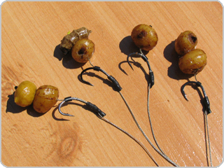 Tigernuts Hair rig assembly – final result