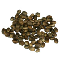 TIGERNUTS TRADERS – Grains: Chènevis