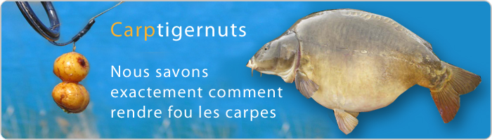 CARP TIGERNUTS