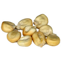 TIGERNUTS TRADERS � Particles: Giant Maize