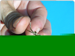 Tigernuts Hair rig assembly � step 1 of 6