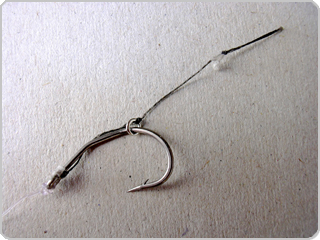 Hook with hair-rig