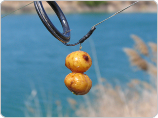 Tigernuts in 'hair'