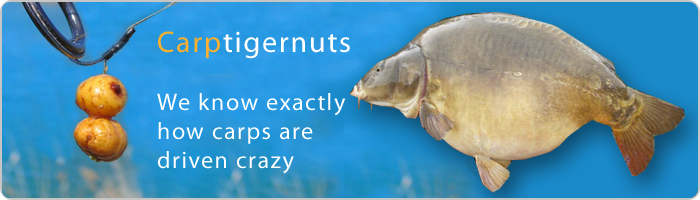 CARP TIGERNUTS