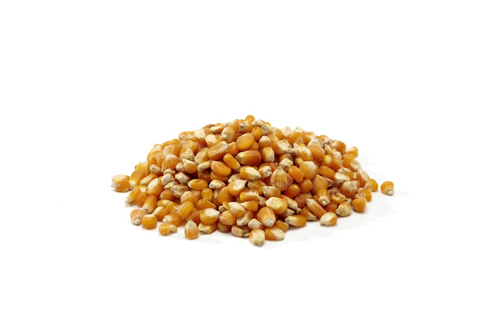 Maize Particles 1KG Dried Quality French Corn For Fishing In A Re-Sealable Bag 