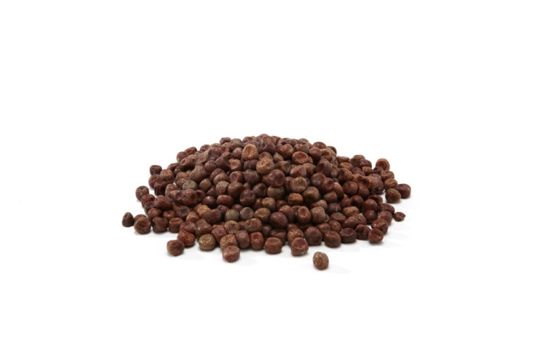 Mapple Peas for Carp Fishing